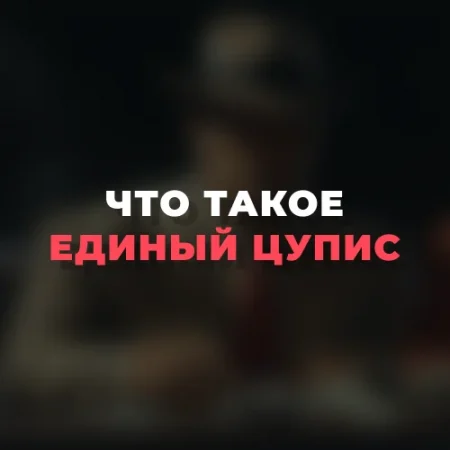 Что такое Единый ЦУПИС и зачем он нужен?