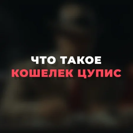 Что такое кошелек ЦУПИС и для чего он нужен?